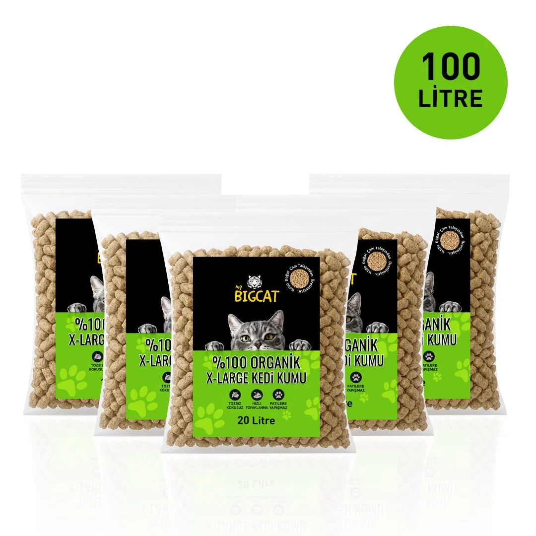 Doğal ve Organik Kedi Kumuna Geçmek İçin 5 İkna Edici Neden