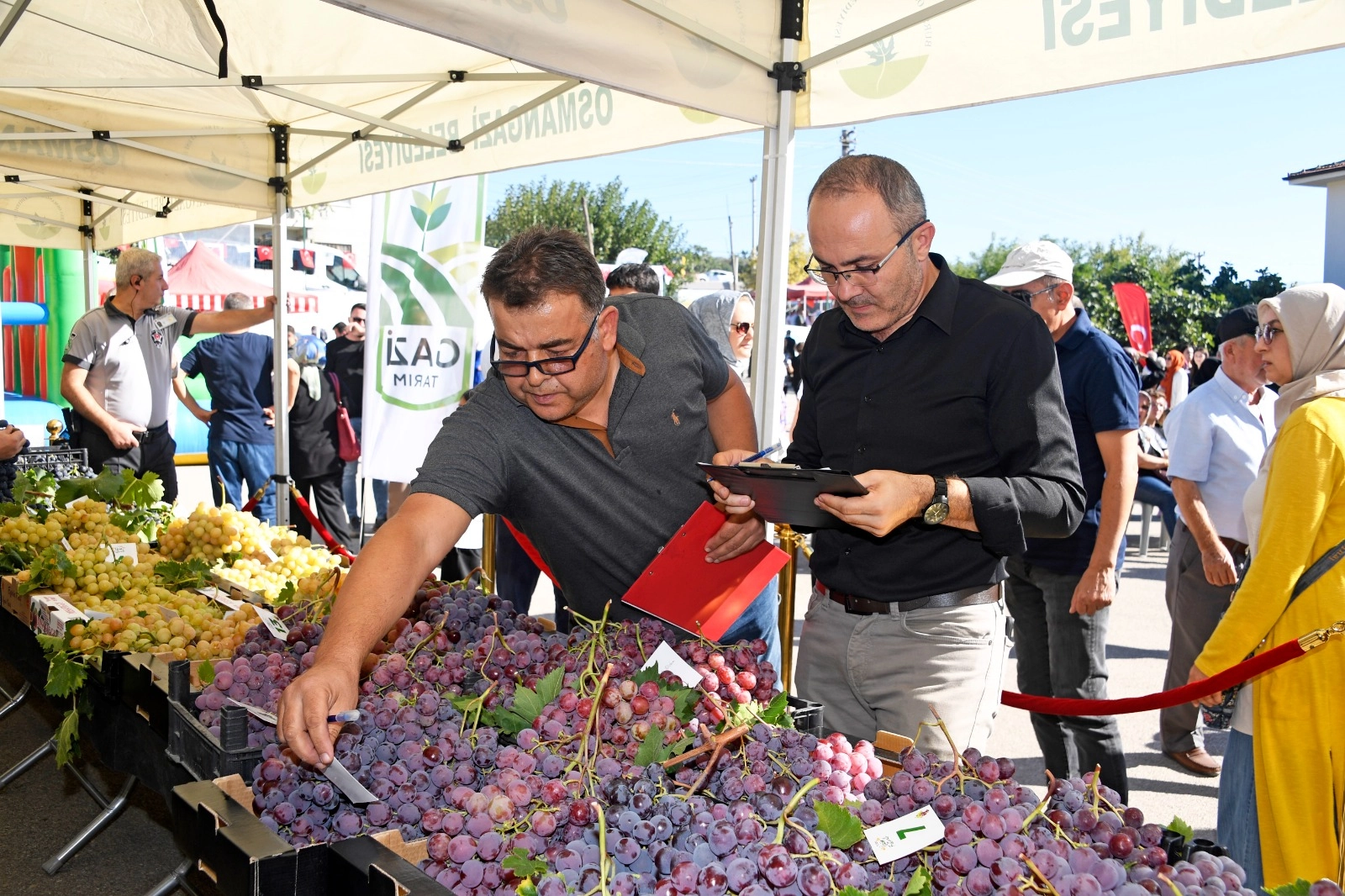 Bursa'da en kaliteli üzümler Osmangazi’de yarıştı
