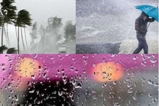 Trabzon, Rize ve Artvin’de kuvvetli yağış bekleniyor